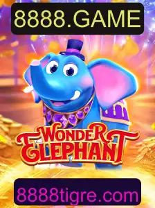 Descubra o Fascinante Mundo de WonderElephant